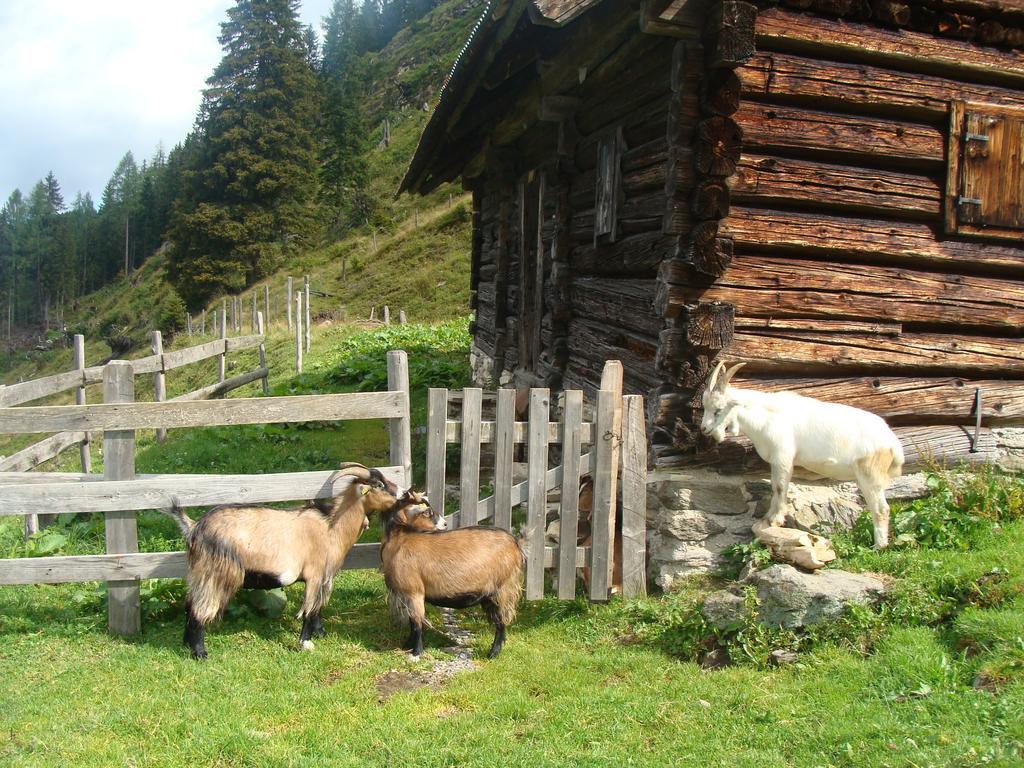 Landhotel Haeuserl Im Wald Grobming Kültér fotó