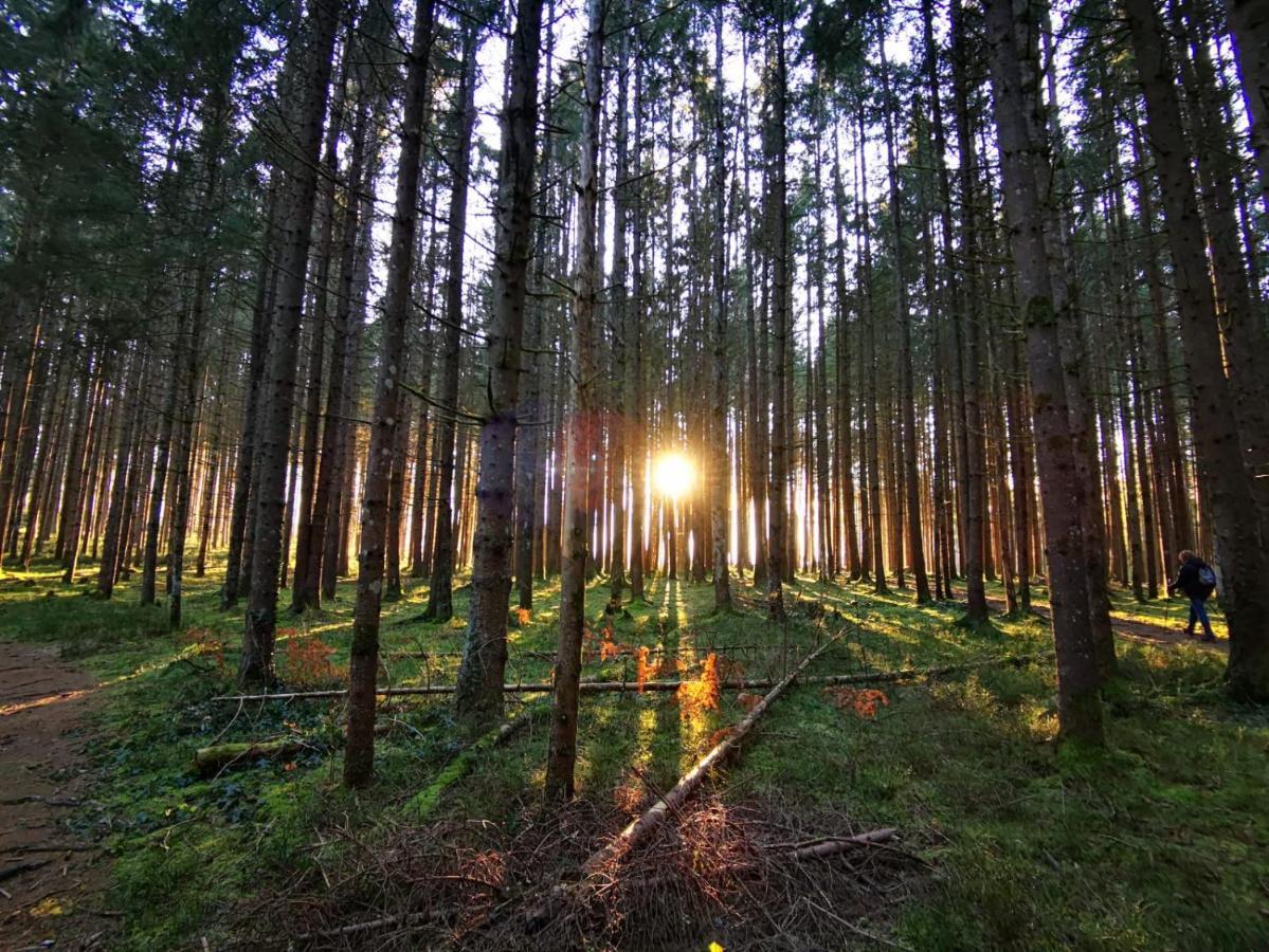Landhotel Haeuserl Im Wald Grobming Kültér fotó